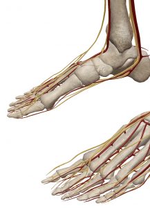 足の崩れによる神経の問題